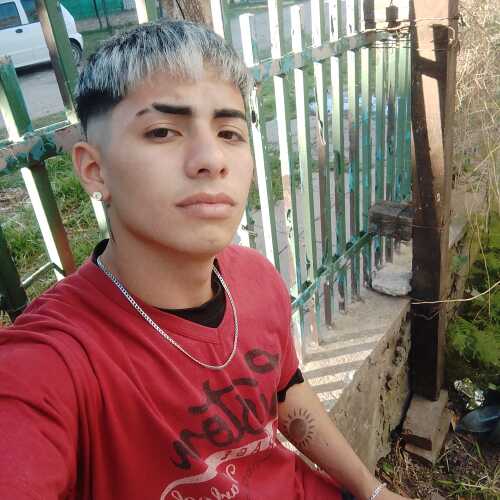 Alexander 