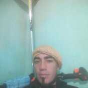 walterale579