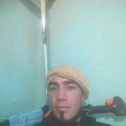 walterale579