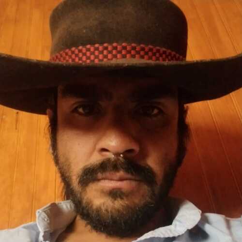 Potro