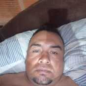 estechel534
