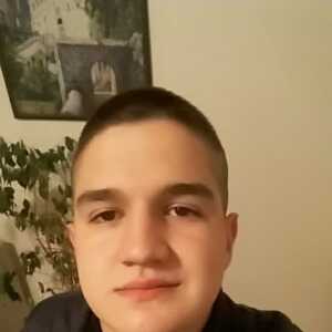 brandolin