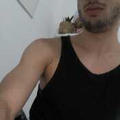 Needl954