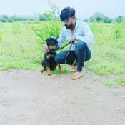 madansingha981