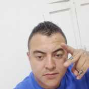 Alvico691