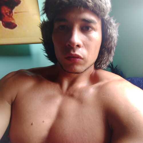 jeis530