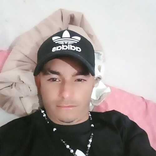 alcid220