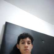 sebasarroy746