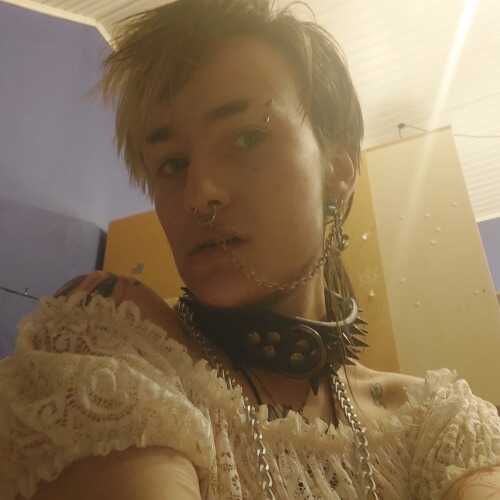 MarkDog