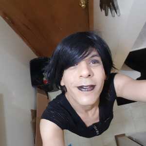 bdsmhousetrans