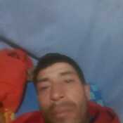 torricowal263