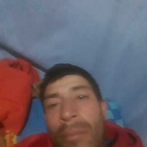 torricowal263