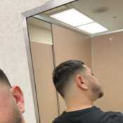 LatinoDL