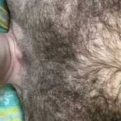 hairybi