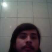 francis520