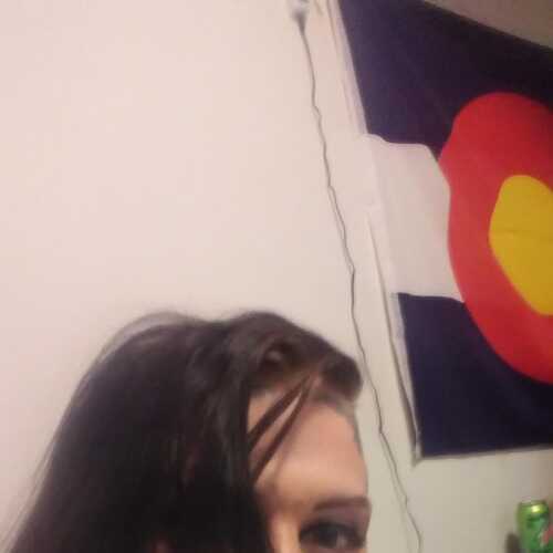 Kalikokitty