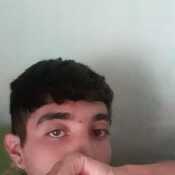 Ivan273