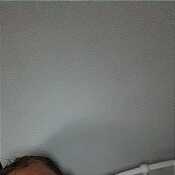 LoyalFlirthdgbcg