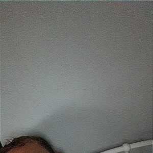 LoyalFlirthdgbcg