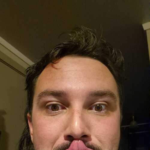 Willdogrich 