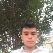 David