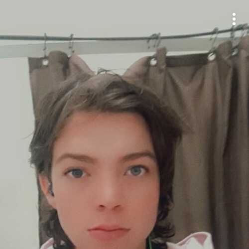 Alliecat1995