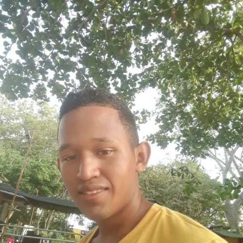 godie050