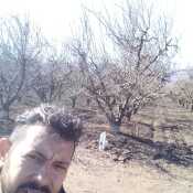 caza278