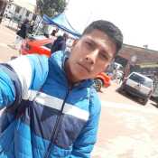 gueniscarli529