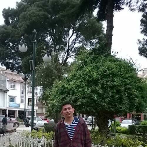 Gregory8120