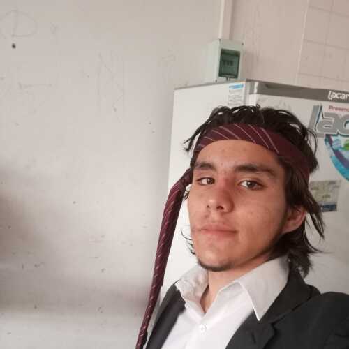 Haroldo