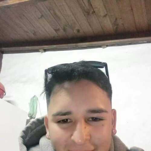 alefabii20002018