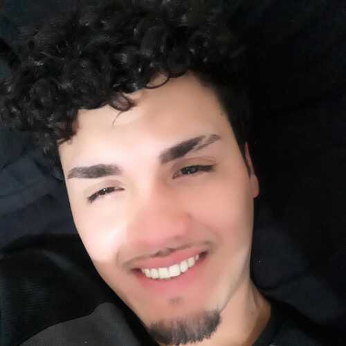 95lobo
