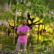 Alyaan