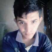 perro298