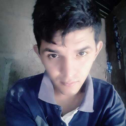 perro298