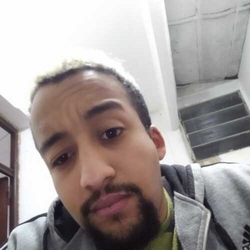 Elmanii