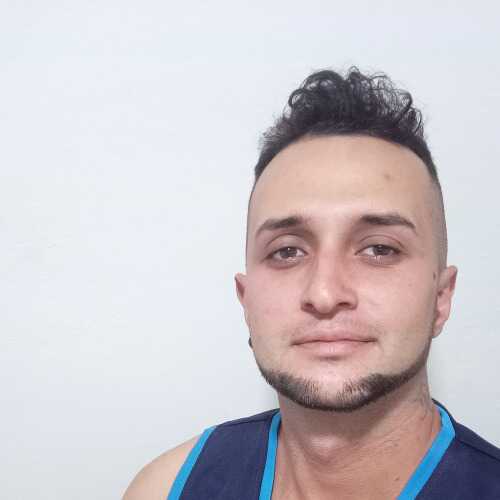 noelaraujo736