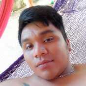albarba733