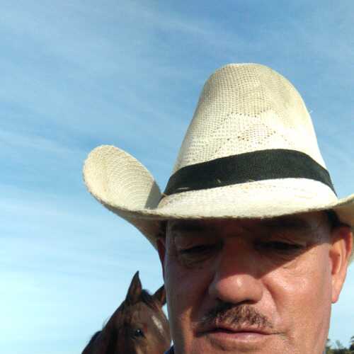 Gauchoardiente
