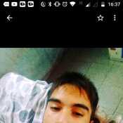 gonzalesmisaeladr771