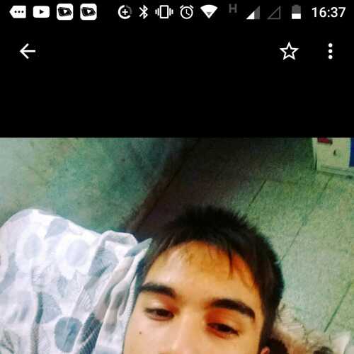 gonzalesmisaeladr771