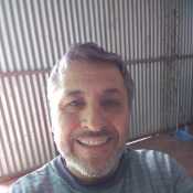 walt875