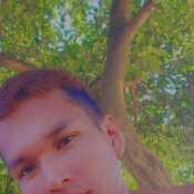 wilso464