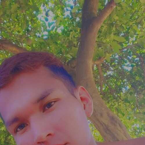 wilso464
