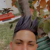yandymarti138
