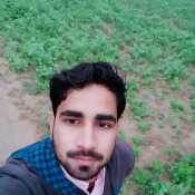 Rajveer6291