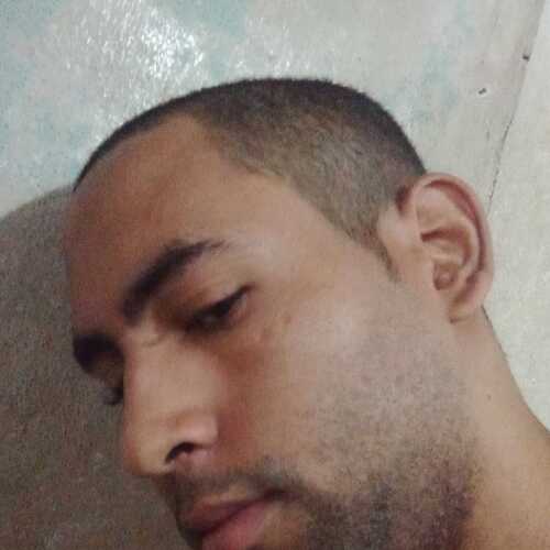 Arnalpasmin860