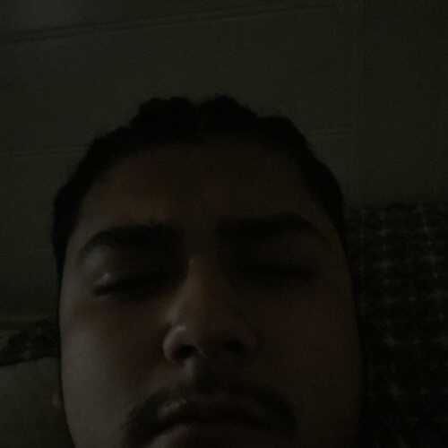 Robert3238
