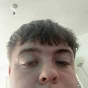Anth